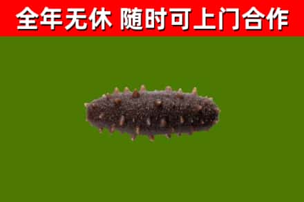 延平烟酒回收干海参.jpg